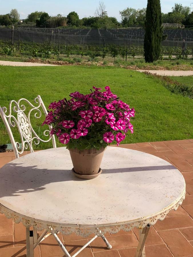 Maso Maroni Agriturismo Pensión *
