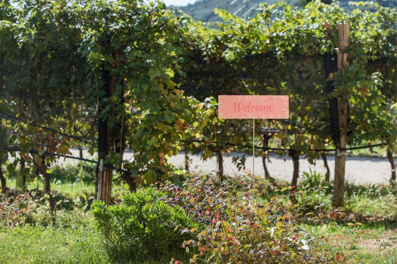 Maso Maroni Agriturismo Pensión *